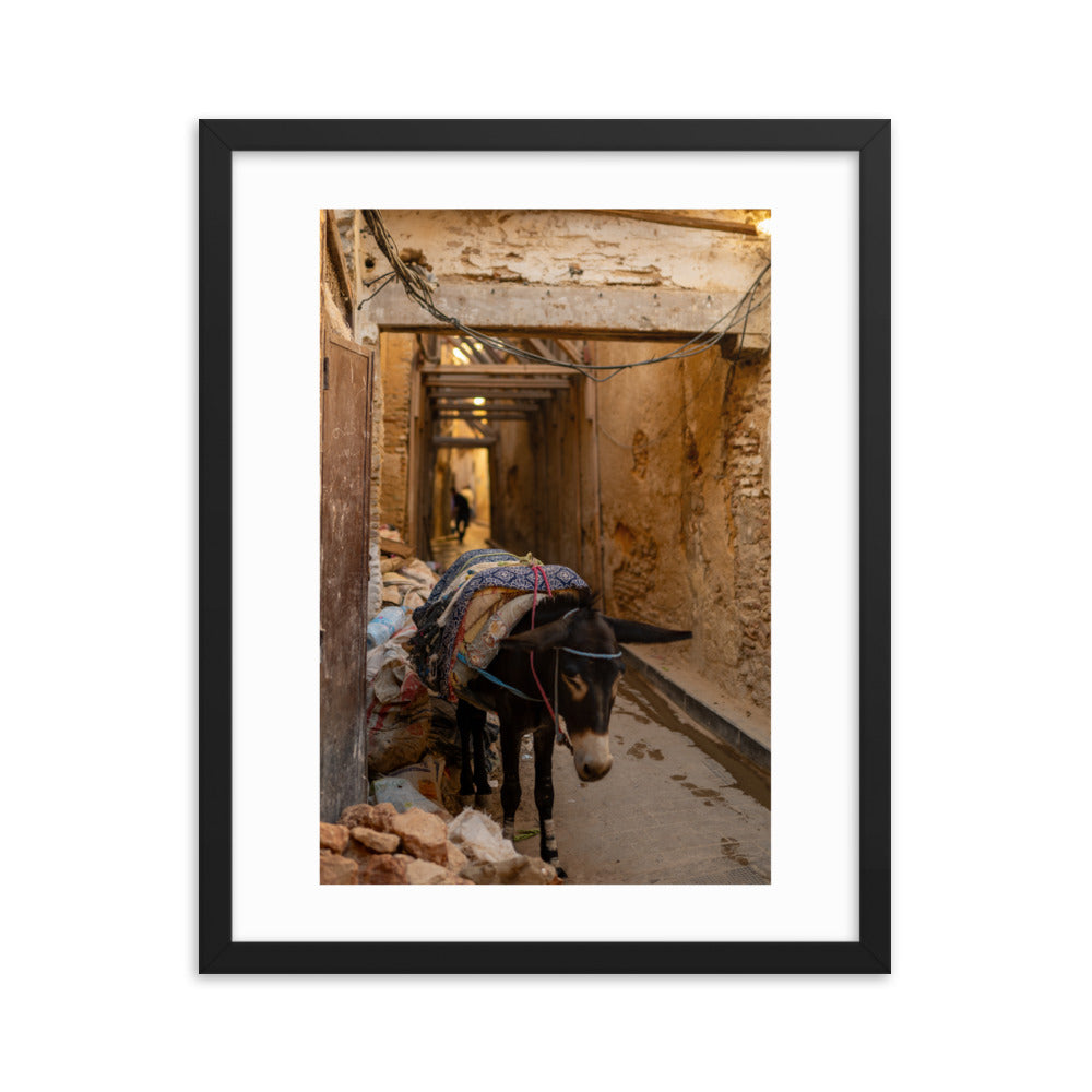Donkey in Fes Wall Art in a typical Moroccan Alley