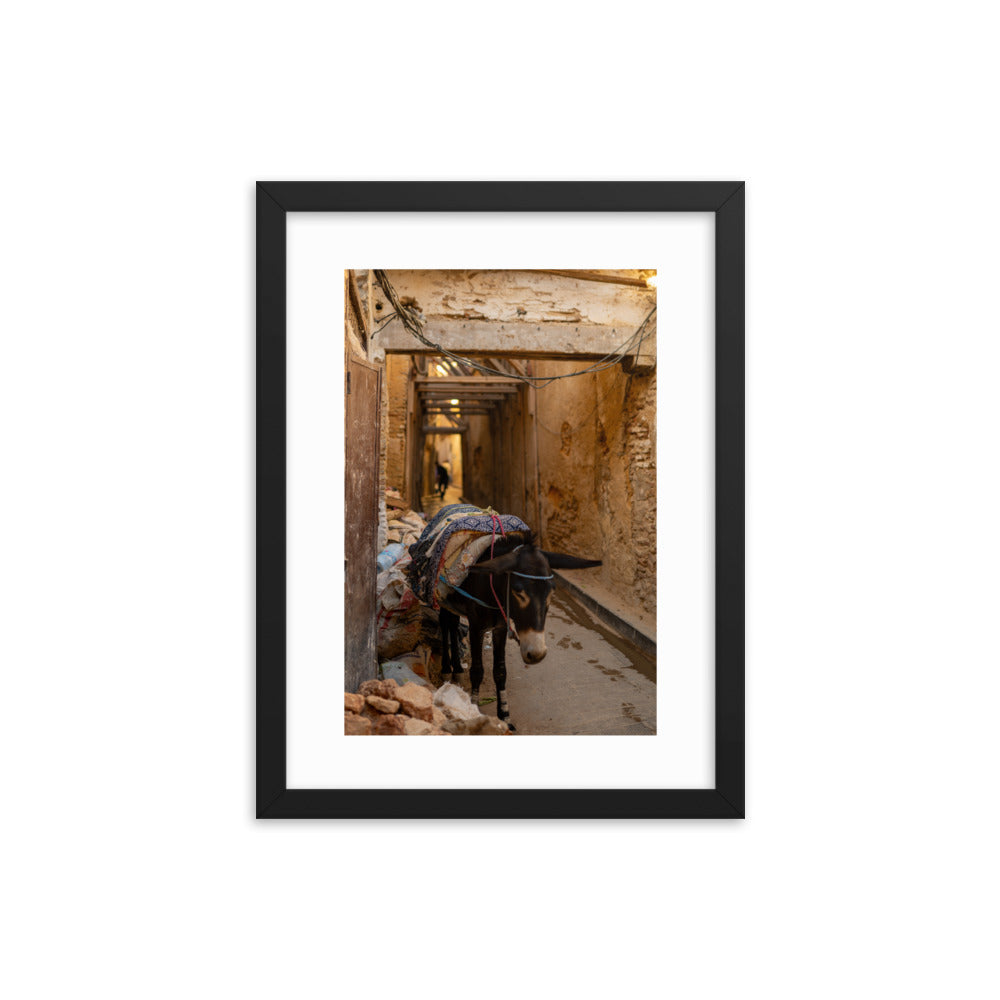 Donkey in Fes Wall Art in a typical Moroccan Alley