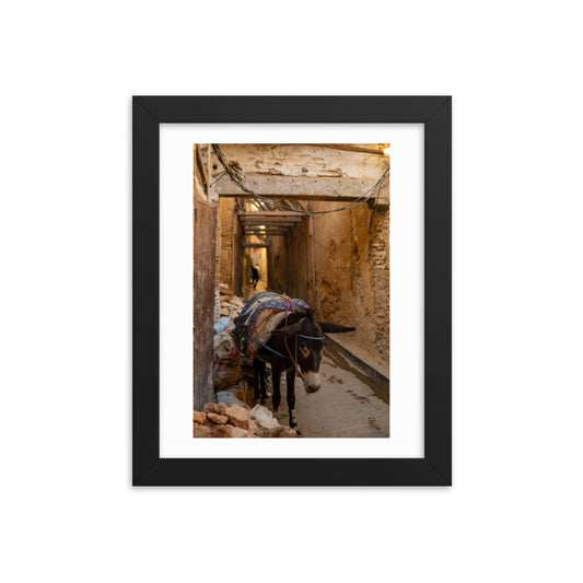 Donkey in Fes Wall Art in a typical Moroccan Alley